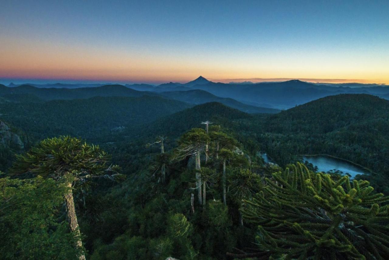 Apartmán Pucon, La Capital Del Sur De Chile Exteriér fotografie