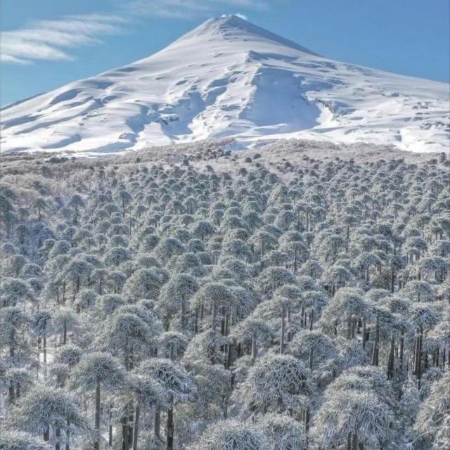 Apartmán Pucon, La Capital Del Sur De Chile Exteriér fotografie